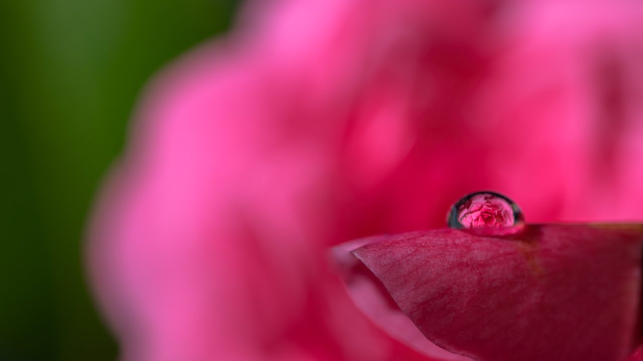 What is macro photography?